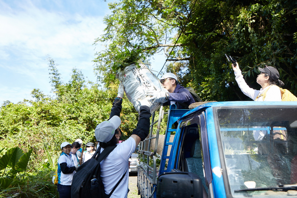 友達串聯志工組成水環境巡守隊 ，針對霄裡溪沿岸3公里的小花蔓澤蘭，定期進行移除與防治工作